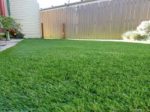 fake grass canberra.jpg